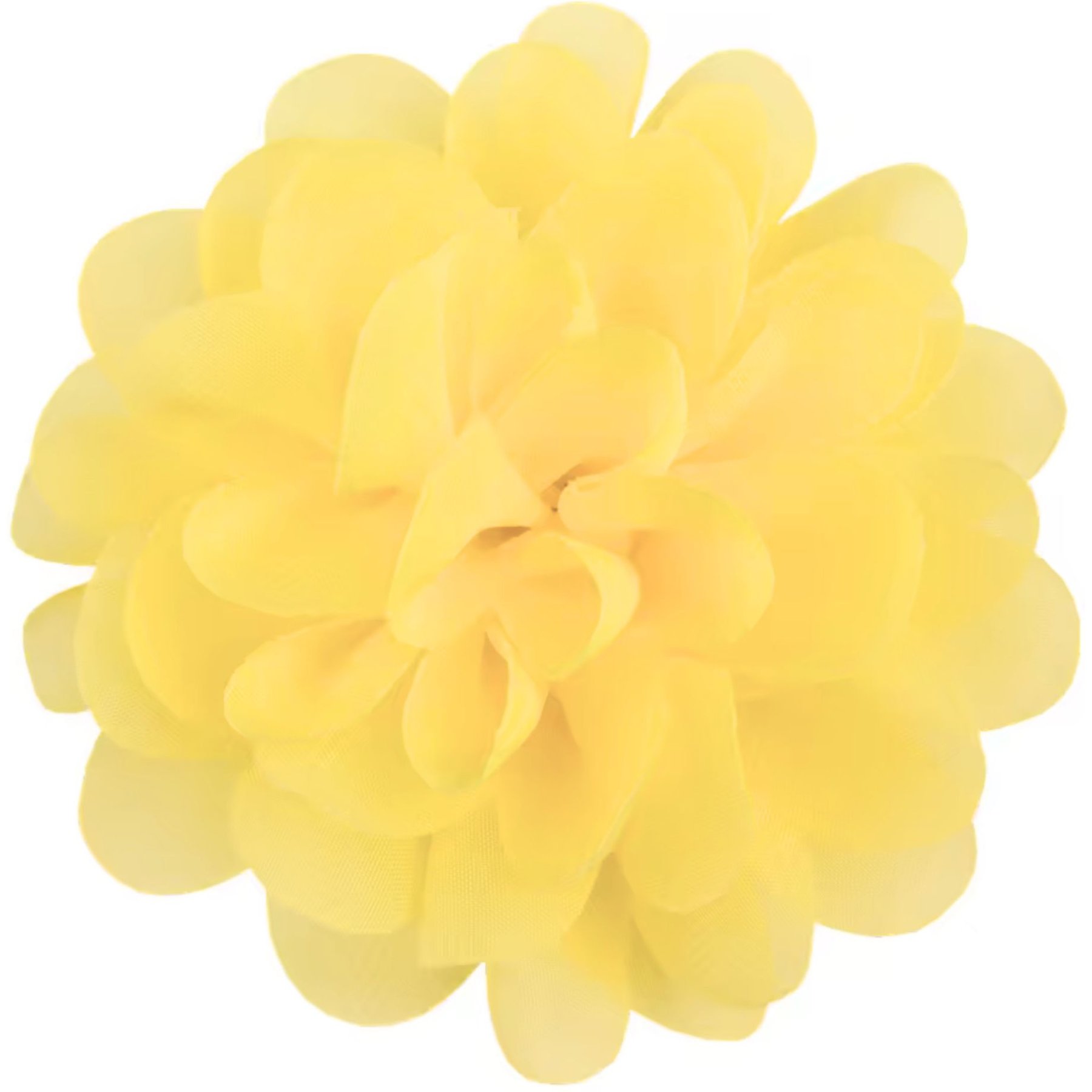 DAPPER DEXTER Collar Flower Girl Dog Accessory, One Size, Yellow