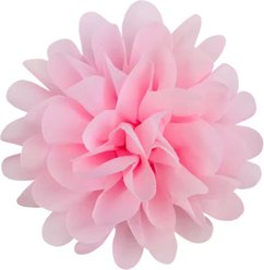 DAPPER DEXTER Collar Flower Girl Dog Accessory, One Size, Light Pink