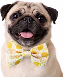 DAPPER DEXTER Lemons Accessories Dog Bow Tie, White/Yellow, One Size slide 2 of 2