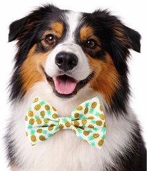 DAPPER DEXTER Pineapple Accessories Dog Bow Tie, White/Yellow, One Size slide 2 of 2