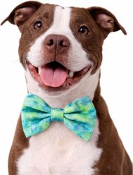 DAPPER DEXTER Tie Dye Accessories Dog Bow Tie, Lime/Blue, One Size slide 2 of 2