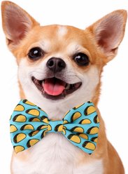 DAPPER DEXTER Tacos Accessories Dog Bow Tie, Teal, One Size slide 2 of 2