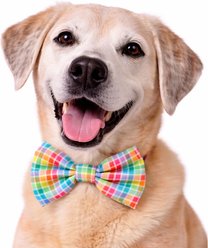 DAPPER DEXTER Plaid Accessories Dog Bow Tie, One Size, Rainbow slide 2 of 2