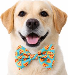 DAPPER DEXTER Pizza Accessories Dog Bow Tie, Teal, One Size slide 2 of 2