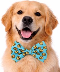 DAPPER DEXTER Happy Faces Accessories Dog Bow Tie, Teal, One Size slide 2 of 2