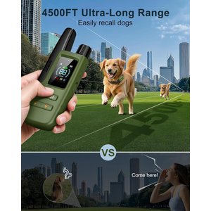 Jugbow 4500-ft Remote Waterproof & Adjustable Dog Training Collar, 7.8 - 24.4-in, Green, 1 count