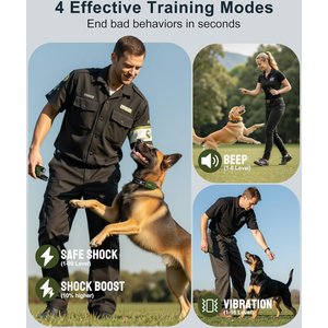 Jugbow 4500-ft Remote Waterproof & Adjustable Dog Training Collar, 7.8 - 24.4-in, Green, 1 count