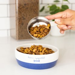 Pearhead Bone Appetit Dog Bowl, Navy, Medium slide 2 of 8