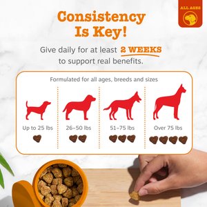 Zesty Paws Allergy & Immune Bites Lamb Flavored Soft Chews Allergies, Immune, & Gut Support Supplement for Dogs, 90 count
