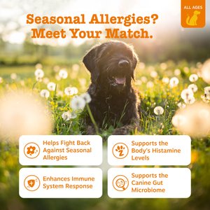 Zesty Paws Allergy & Immune Bites Lamb Flavored Soft Chews Allergies, Immune, & Gut Support Supplement for Dogs, 90 count