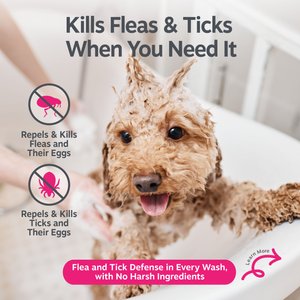 Zesty Paws Flea & Tick Veterinary Formulated Soothing Deodorizing Shampoo for Dogs, 16-fl oz bottle