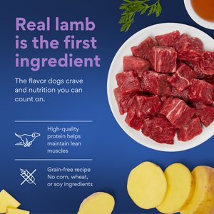 Chewy Made Premium Loaf Lamb Recipe Grain-Free Canned Dog Food (FORMERLY AMERICAN JOURNEY), 12.5-oz can, case of 12
