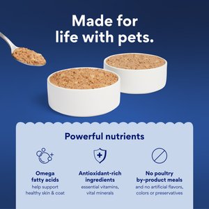 Chewy Made Premium Loaf Poultry & Beef Variety Pack Grain-Free Canned Dog Food (FORMERLY AMERICAN JOURNEY), 12.5-oz can, case of 12