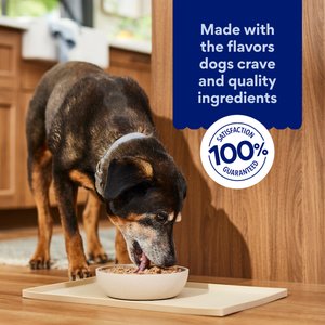Chewy Made Premium Loaf Poultry & Beef Variety Pack Canned Dog Food, (FORMERLY AMERICAN JOURNEY), 12.5-oz can, case of 12