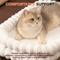 Show in main carousel: CheerPals Plush & Grids Design Double-Layer Foldable Cat Desk Bed, White, Large: 24 x 15-in slide 4 of 10