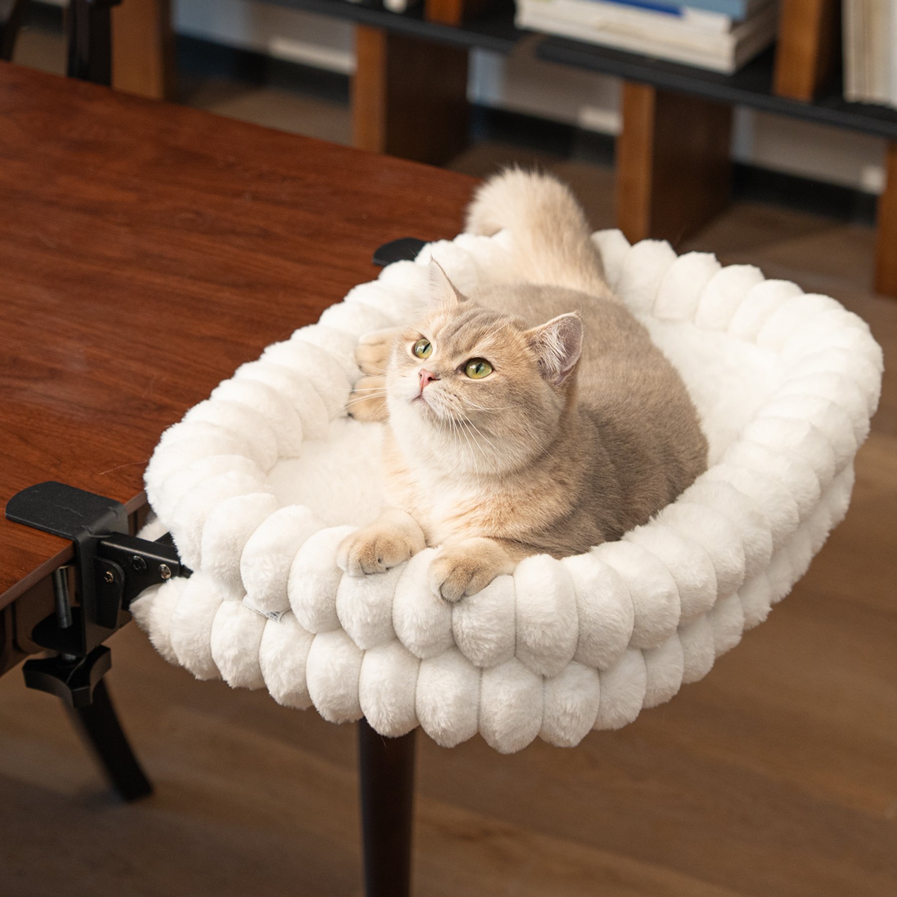 CheerPals Plush & Grids Design Double-Layer Foldable Cat Desk Bed, White, Medium: 21 x 15-in