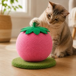 NonoPets Fruit Fun Sisal Rope Scratching Ball Cat Toy, Pink
