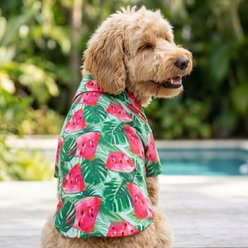 Doggie Design Hawaiian Dog Camp Shirt, X-Large, Juicy Watermelon slide 2 of 5
