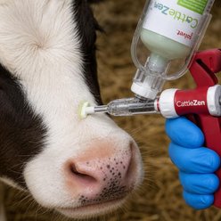 Solvet CattleZen Applicator, 250-mL slide 2 of 6