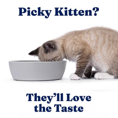 Show full view: Solid Gold Five Oceans Mackerel & Tuna Grain-Free Shreds in Gravy Wet Cat Food, 3-oz can, case of 3 slide 5 of 11