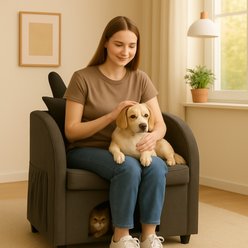 Bencmate Bunny Ear Friendly Accent Armchair with Hidden Kitty House Cat Condo, Black