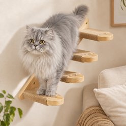 FUKUMARU Solid Rubber Wood Wall Mounted Cat Wall Climber Shelf, Brown