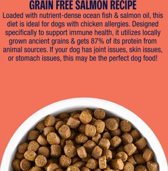 Muenster All Life Stages Grain-Free Salmon Dry Dog Food, 22-lb bag slide 2 of 6
