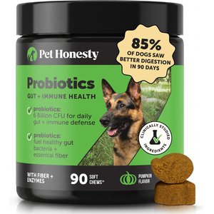 Pet Honesty Probiotics Gut + Immune Health Pumpkin Flavored Soft Chews, Digestive Probiotic Supplement for Dogs, 90 count