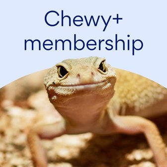 Chewy+ Membership