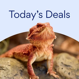 Today's Deals