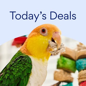 Today's Deals