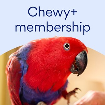 Chewy+ Membership