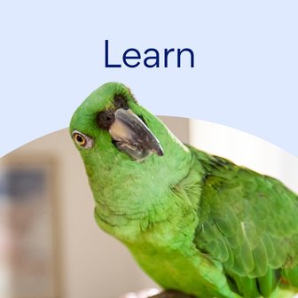 Learn