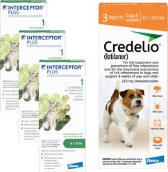 Interceptor Plus Chew, 8.1-25 lbs, (Green Box), 3 Chew (3-mo. supply) + Credelio Chewable Tablet for Dogs, 6.1-12 lbs, (Pink Box), 3 Chewable Tablets (3-mos. supply)