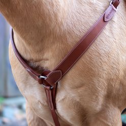 Shires Equestrian Products Velociti Shaped Horse Breast Collar, Full, Light Oil