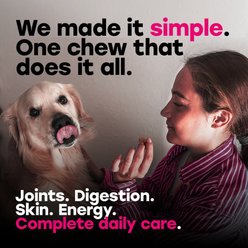 Pup Choice with Probiotics & Glucosamine, Bacon Flavor Soft & Chewy Multivitamin for Dogs, 140 Count slide 2 of 9