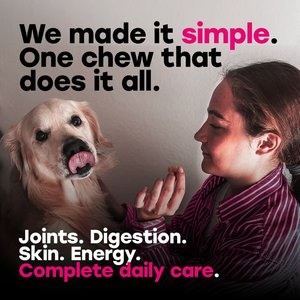 Pup Choice with Probiotics & Glucosamine, Bacon Flavor Soft & Chewy Multivitamin for Dogs, 140 Count