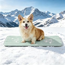 GOOPAWS Non-Slip Cooling Dog Crate Mat, Green, Large