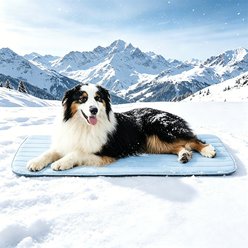 GOOPAWS Non-Slip Cooling Dog Crate Mat, Blue, X-Large