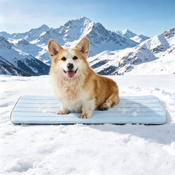 GOOPAWS Non-Slip Cooling Dog Crate Mat, Blue, Large slide 1 of 7