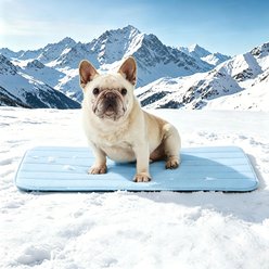GOOPAWS Non-Slip Cooling Dog Crate Mat, Blue, Medium