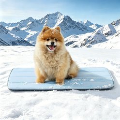 GOOPAWS Non-Slip Cooling Dog Crate Mat, Blue, Small