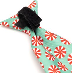 The Worthy Dog Peppermints Boy Dog Neck Tie, Green, Large slide 2 of 3