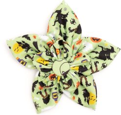 The Worthy Dog Witches Brew Flower Girl Dog Collar Accessory, Lime, Small