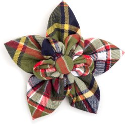 The Worthy Dog Plaid II Flower Girl Dog Collar Accessory, Olive, Small