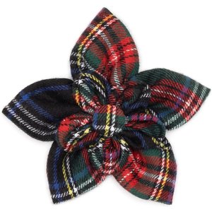 The Worthy Dog Stewart Flower Girl Dog Collar Accessory, Black Multicolor, Small