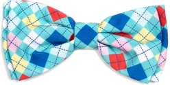 The Worthy Dog Haberdashery Boy Dog Bow Tie, Turquoise, Large