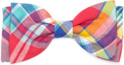 The Worthy Dog Plaid Boy Dog Bow Tie, Coral Multicolor, Small