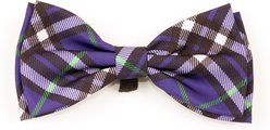 The Worthy Dog Bias Plaid Boy Dog Bow Tie, Purple, Large