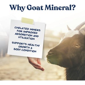Manna Pro Goat Mineral Powder Supplement, 8-lb bag
